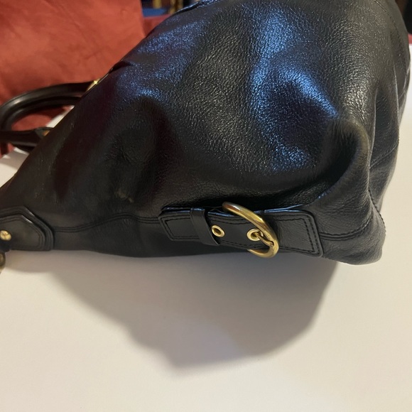 Beautiful Coach - Picture 10 of 15